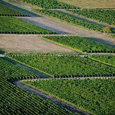 հողատարածք աշտարակում